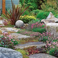 an outdoor garden with rocks and flowers