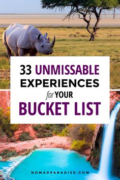 rhinoceros and other animals in the wild with text overlay that reads 33 unmissable experiences for your bucket list