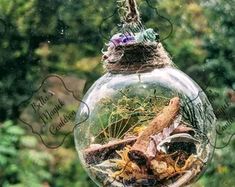 a glass ornament hanging from a tree filled with plants and other things in it