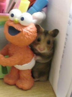 a gerbil and a stuffed animal in a corner with caption that says, ssssh don't say anything