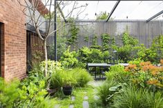 an outdoor garden with lots of greenery and plants on the side of the building