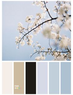 a tree with white flowers and blue sky in the background is featured in this color palette