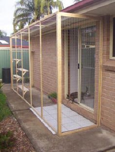 a house with a cat in the back door and a screen on the front porch