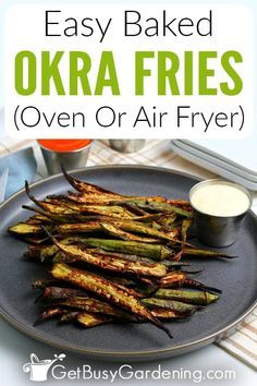 baked okra fries on a plate with dipping sauce