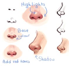 some different types of nose shapes and how they are used to make them look like noses