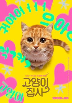 an orange and white cat sitting in front of a yellow background with hearts on it