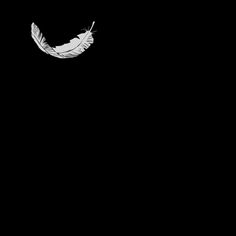 a white feather floating in the air on a black background