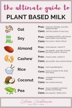 the ultimate guide to plant based milk