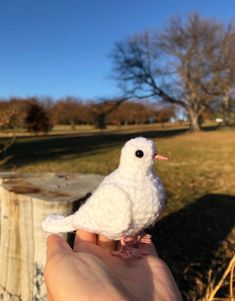 a small white bird perched on someone's hand