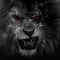 a black and white photo of a lion with red eyes