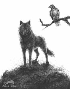 a drawing of a wolf and a bird on a tree branch