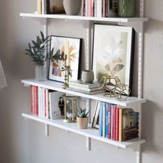 some shelves with pictures and plants on them