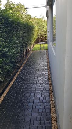 a brick walkway between two buildings with trees in the back ground and bushes on either side