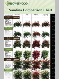 a poster showing the different types of trees