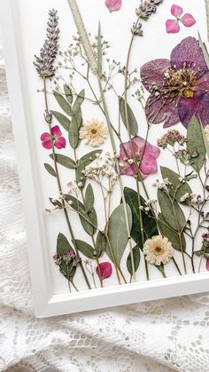 pressed flowers and leaves in a white frame on a lace doily with pink and purple petals