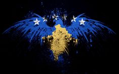 the flag of ukraine is painted on an eagle with stars in it's wings