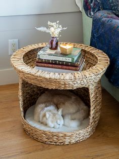 a cat curled up in a wicker basket on the floor next to a couch