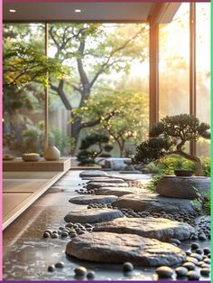 an indoor garden with rocks and plants in the sun shining through large windows on either side