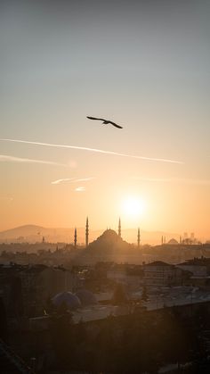 a bird flying in the sky over a city with tall buildings and mountains at sunset