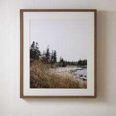 a framed photograph hanging on the wall above a field with trees and water in the background