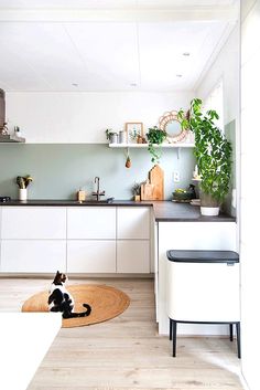 a black and white cat sitting on the floor in front of a kitchen counter top