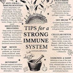 Strong Immune System, Medicinal Herbs Garden, Medical Herbs, Sacred Science, Adaptogenic Herbs, Natural Healing Remedies, Stronger Immune System, Vagus Nerve, Herbal Healing