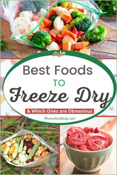 the best foods to freeze dry and which ones are obnoxious