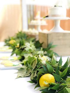 a row of lemons sitting on top of a white table next to green leaves