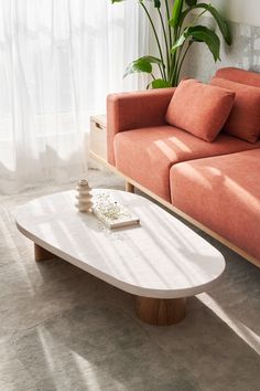 a living room with a couch, coffee table and potted plant