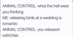 an animal control sign is shown with the caption that reads,'animal control what the hell were you thinking me releasing birds at a wedding romantic animal control you released ostriches