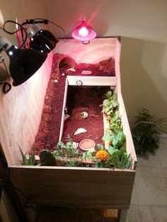 an indoor garden in a wooden box with plants and lights on the wall behind it