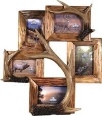 a tree with four frames hanging on it's side and an antler in the middle