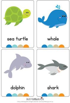 four cards with different types of animals and their names in the same language, each one has