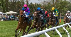 jockeys on horses racing down the track at a horse race course with spectators in the background