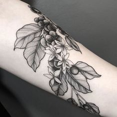 a black and white photo of a branch with leaves on it's side arm