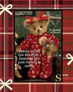 a teddy bear is dressed in red and green plaid