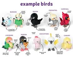 a bunch of stuffed animals that are labeled in different languages and sizes, including cockatoos