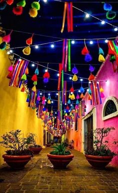 brightly colored lights hang from the ceiling above potted plants in front of a building