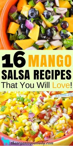 mango salsa in a bowl with text overlay that reads 16 mango salsa recipes that you will love