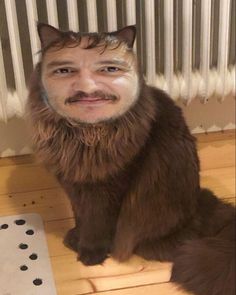 a man wearing a cat costume sitting on the floor