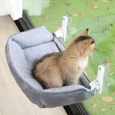 a cat sitting on top of a blue bed in front of a sliding glass door