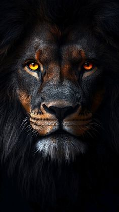 a close up of a lion's face with yellow eyes and black fur on