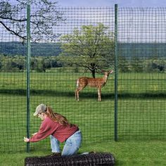 a woman is bending over to look at the deer in the fenced area behind her