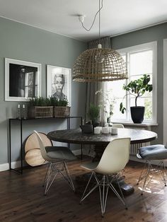 a dining room table with four chairs and a potted plant in the corner next to it