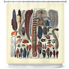 a shower curtain with many different types of feathers and other things in the image on it