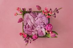 pink flowers and greenery are arranged in a square wooden frame on a pink background