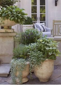 three large pots with plants in them sitting on a patio