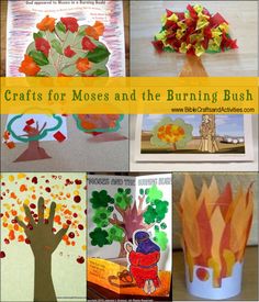 crafts for moss and the burning bush with pictures of autumn trees, leaves, firecrackers