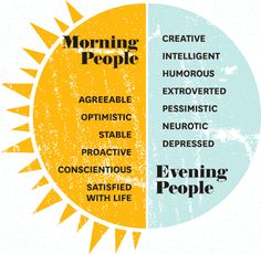 two circles with words on them that say morning people and evening people