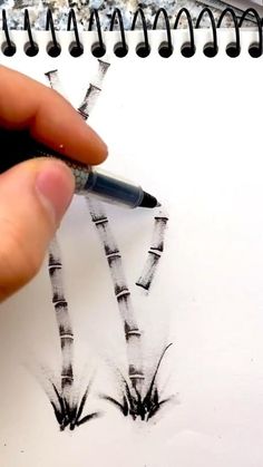 someone is drawing trees on paper with a marker